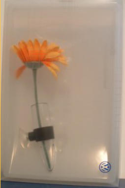 Bud Vases were issued by VW, one for desktop, the other with a suction cup.